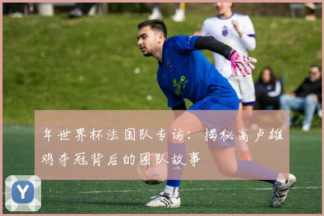 年世界杯法国队专访：揭秘高卢雄鸡夺冠背后的团队故事
