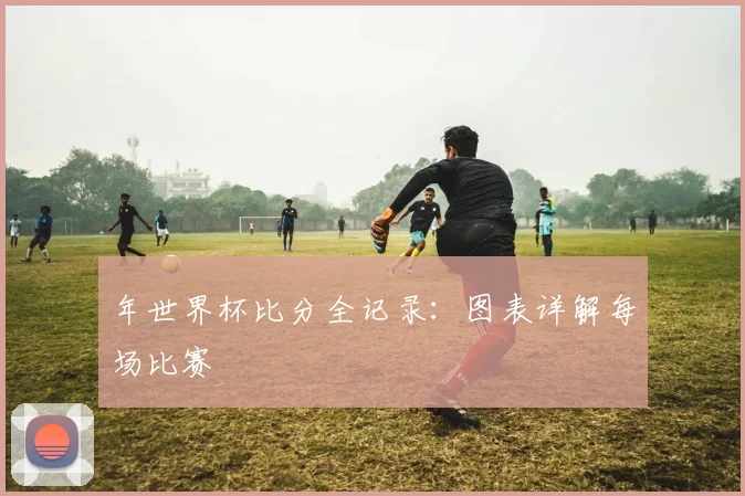 年世界杯比分全记录：图表详解每场比赛