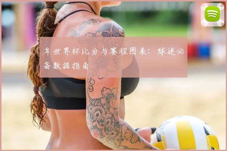 年世界杯比分与赛程图表：球迷必备数据指南