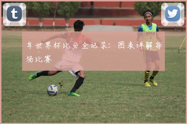 年世界杯比分全记录：图表详解每场比赛
