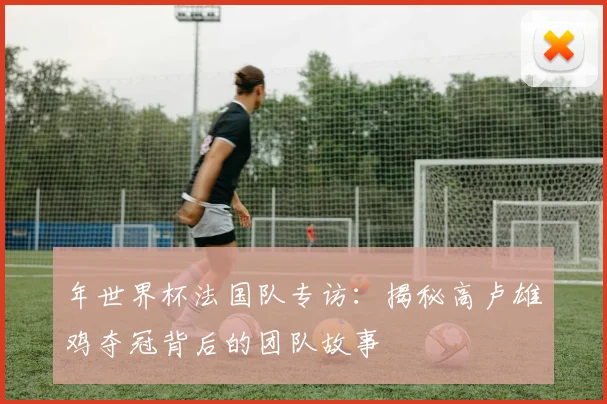 年世界杯法国队专访：揭秘高卢雄鸡夺冠背后的团队故事
