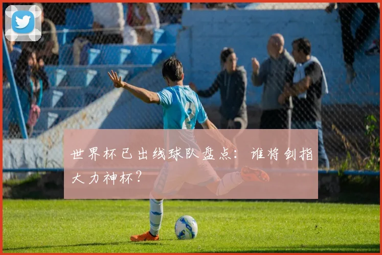 世界杯已出线球队盘点：谁将剑指大力神杯？