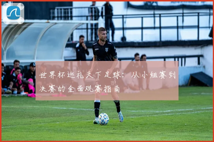 世界杯巡礼天下足球：从小组赛到决赛的全面观赛指南
